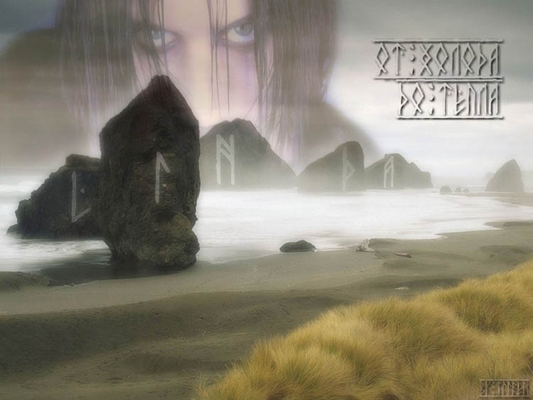 �� ������ �� �����