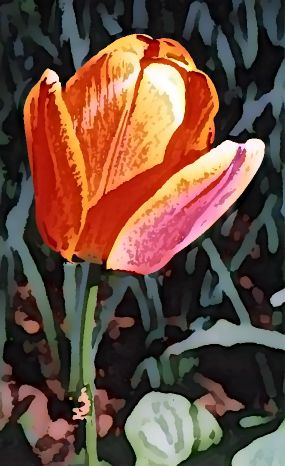 �������