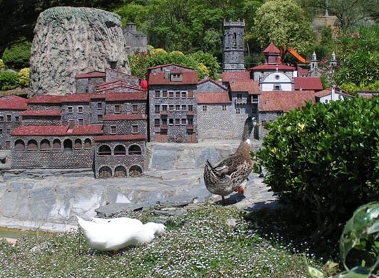 ����-�������