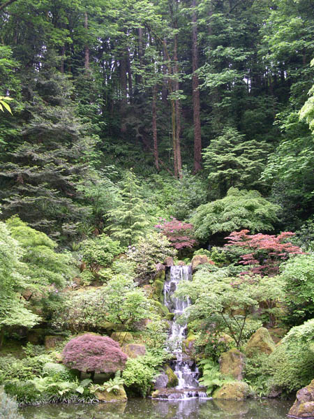 �������� ��� #1