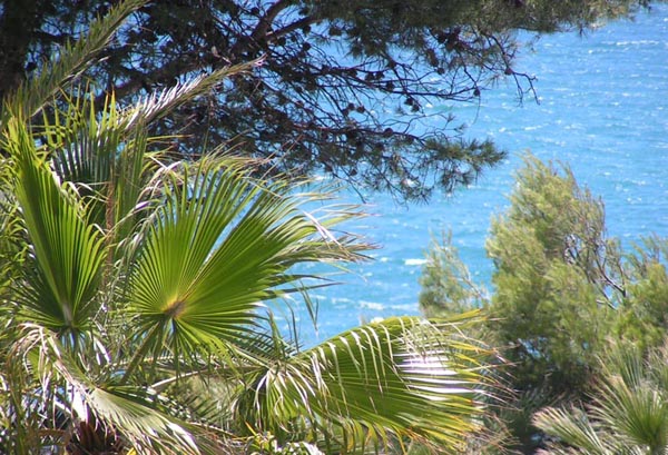 ��� �� ����