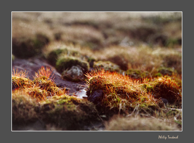 ����� ������� ������ �� ������ ���:)